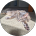 Profile image for abbbey jane